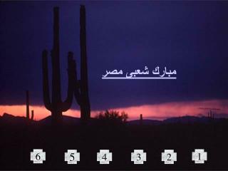 مبارك شعبى مصر