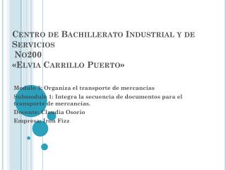 Centro de Bachillerato Industrial y de Servicios No200 «Elvia Carrillo Puerto»