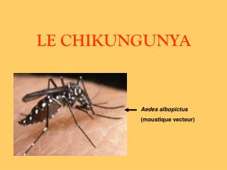 LE CHIKUNGUNYA