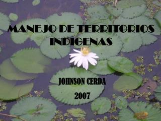 JOHNSON CERDA 2007