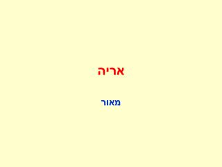 אריה