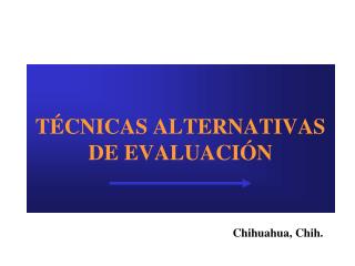 TÉCNICAS ALTERNATIVAS DE EVALUACIÓN