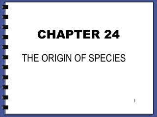 CHAPTER 24