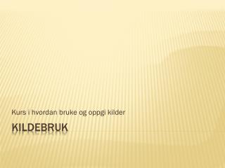 Kildebruk