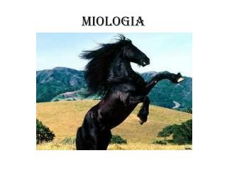 Miologia