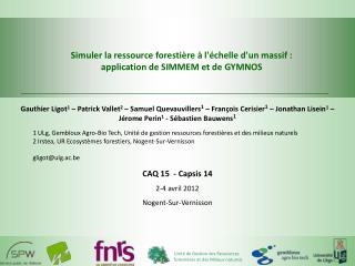 Simuler la ressource forestière à l'échelle d'un massif : application de SIMMEM et de GYMNOS
