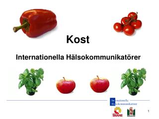 Internationella Hälsokommunikatörer