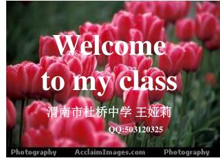 Welcome to my class 渭南市杜桥中学 王娅莉 QQ:503120325