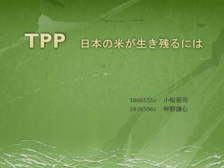 TPP 日本の米が生き残るには