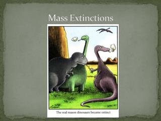 Mass Extinctions