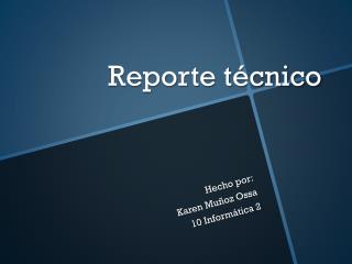 Reporte técnico