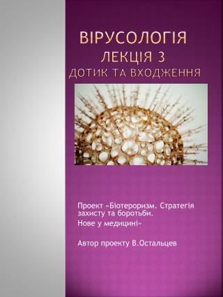 ВІрусологІя ЛекцІя 3 Дотик та входження