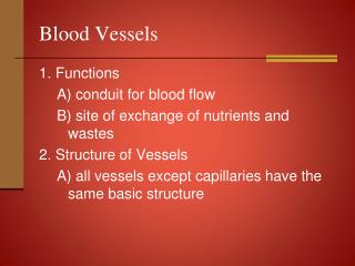 Blood Vessels