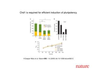 A Gaspar-Maia et al. Nature 000 , 1-6 (2009) doi:10.1038/nature08212