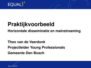 Praktijkvoorbeeld Horizontale disseminatie en mainstreaming Theo van de Veerdonk