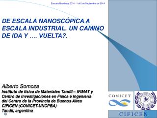 DE ESCALA NANOSCÓPICA A ESCALA INDUSTRIAL. UN CAMINO DE IDA Y …. VUELTA?.