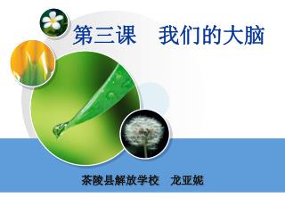 第三课　我们的大脑