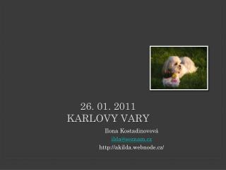 26. 01. 2011 Karlovy Vary