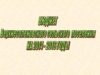 БЮДЖЕТ Верхнесоленовского сельского поселения НА 2014 - 2016 ГОДЫ