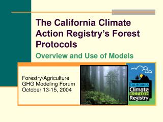 The California Climate Action Registry’s Forest Protocols Overview and Use of Models