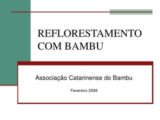 REFLORESTAMENTO COM BAMBU