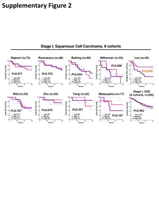 Supplementary Figure 2