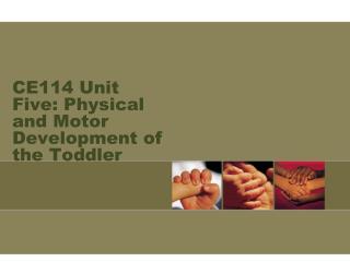 CE114 Unit Five: Physical and Motor Development of the Toddler