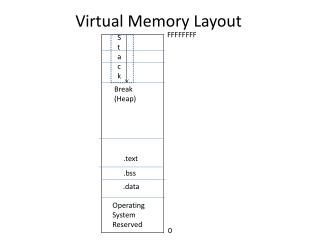 Virtual Memory Layout