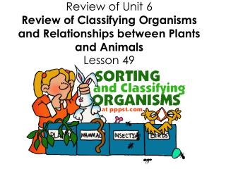 Organisms in an ecosystem can be classified as producers, consumers, or decomposers.