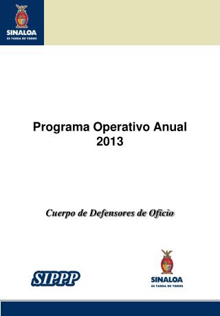 Programa Operativo Anual 2013