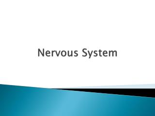 Nervous System