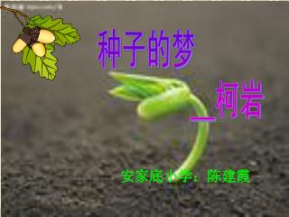 种子的梦 __ 柯岩