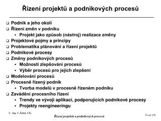 Řízení projektů a podnikových procesů