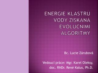 ENERGIE KLASTRŮ VODY ZÍSKANÁ EVOLUČNÍMI ALGORITMY