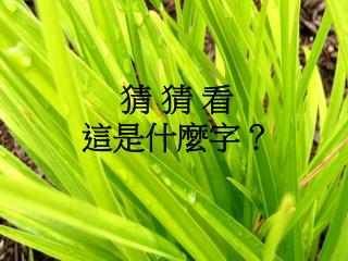 猜 猜 看 這是什麼字？