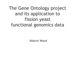 The Gene Ontology project and its application to fission yeast functional genomics data