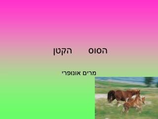 הסוס הקטן