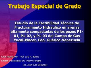 Trabajo Especial de Grado