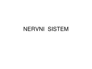 NERVNI SISTEM