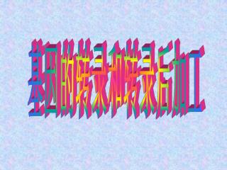 基因的转录和转录后加工