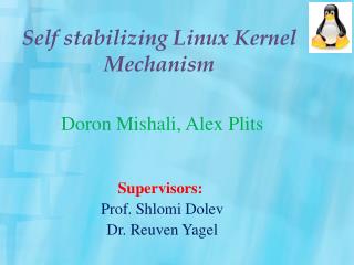 Self stabilizing Linux Kernel Mechanism