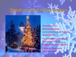 Зимой и летом одним цветом