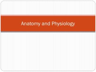 Anatomy and Physiology