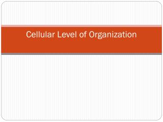 Cellular Level of Organization