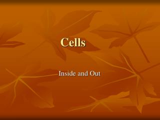 Cells