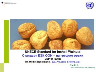 UNECE-Standard for Inshell Walnuts Стандарт ЕЭК ООН – на грецкие орехи DDP-01 (2002)