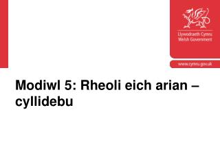 Modiwl 5: Rheoli eich arian – cyllidebu