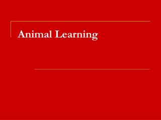 Animal Learning