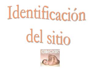 Identificación del sitio