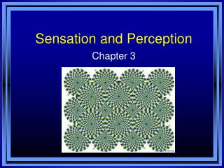 Sensation and Perception